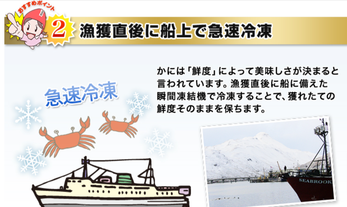 663：プレミアム超特大１０L生たらばがに肩脚１肩（総重量約2-2kg）-厳選特産品専門店-匠本舗-10-23-2024_10_26_PM