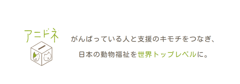 公益社団法人アニマル・ドネーション-寄付で拡げる犬猫の未来ー確かな団体選定のアニドネ-11-14-2024_12_30_AM