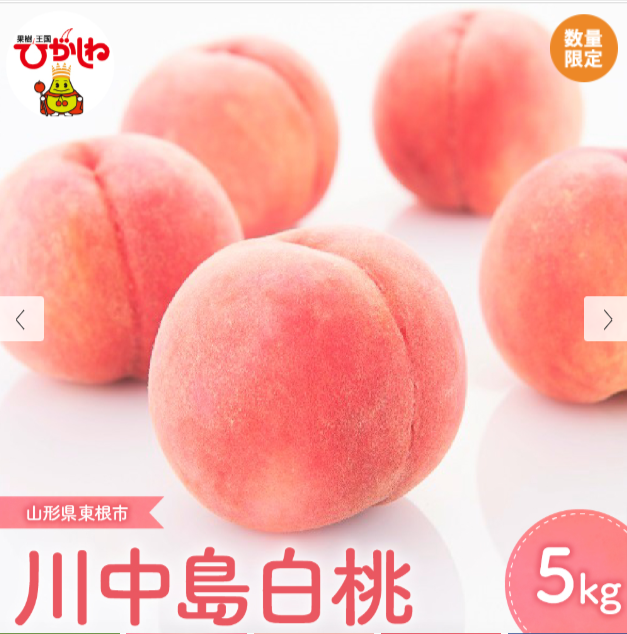 寄付金額：21,000円