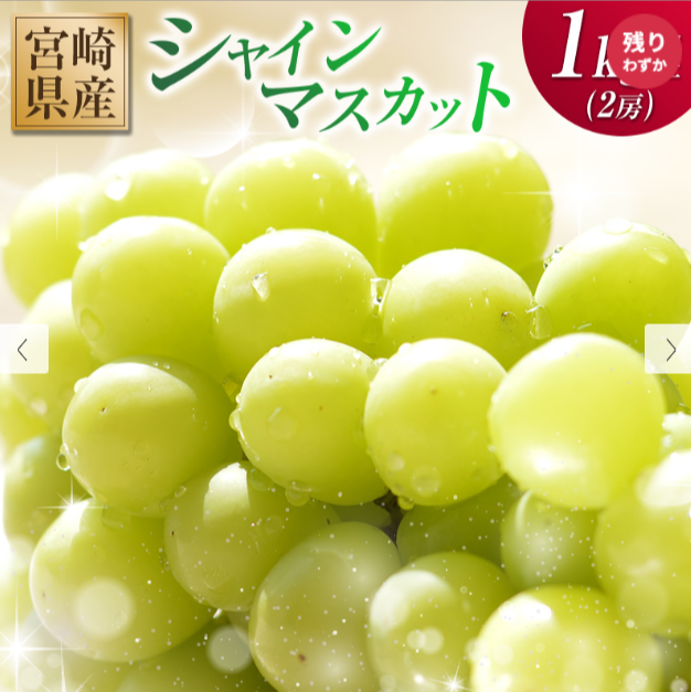 寄付金額：13,000円