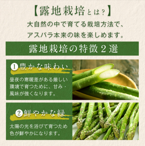 北海道-富良野産-訳あり-ご自宅用-露地栽培グリーンアスパラガス-サイズ混-04-26-2025_07_50_PM